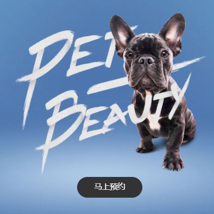 米脂宠物中心小程序开发